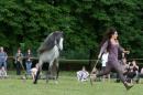 CAvAlle 6 * 3504 x 2336 * (3.73MB)